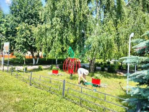 В селе Татарские Челны сотрудники бюджетных организаций покрасили парк в ходе средника