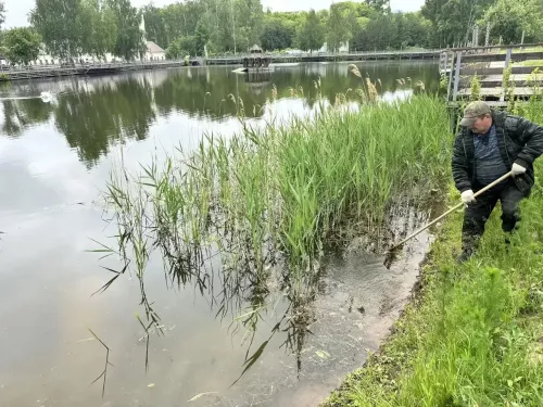 Менделеевцы навели порядок в парке «Ушковские острова» и на улице Фомина
