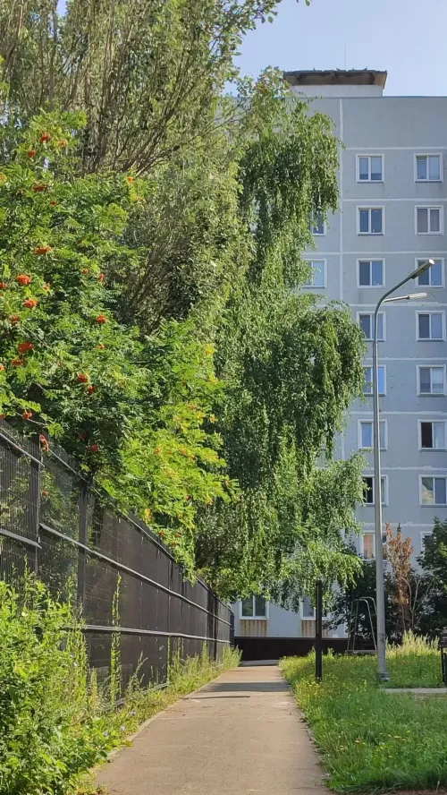 Жара до +30 градусов ожидается в Менделеевске 22 июля