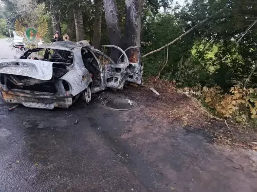 Шесть человек погибли в ДТП в Зеленодольском районе РТ