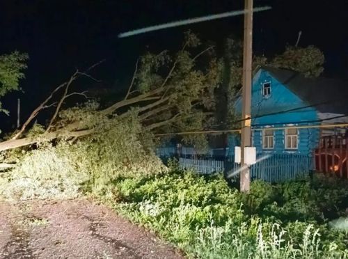 Последствия непогоды: повреждены автомобили, упали деревья, есть погибший