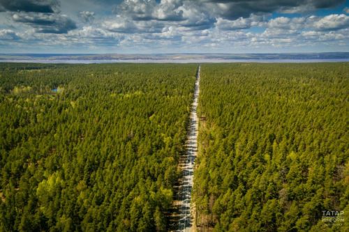 В лесах Татарстана обустроили почти 2,4 тыс. км новых противопожарных полос