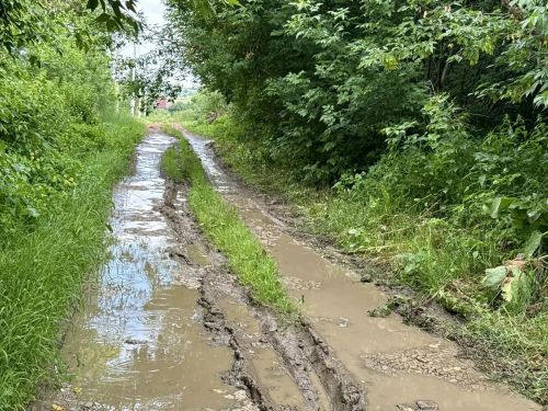 Глава Менделеевского района выехал в Ашпайково по обращению садоводов о состоянии дороги