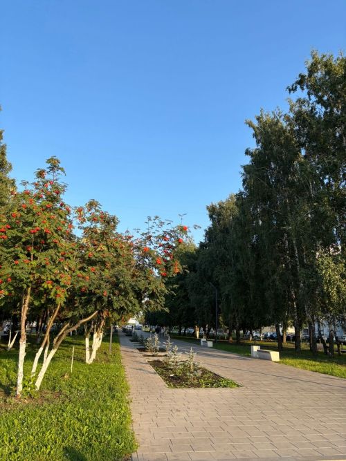 Тёплый день ожидается в Менделеевске 19 августа
