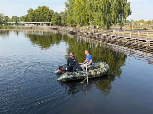 В пруд на Ушковских островах выпустили более ста толстолобиков