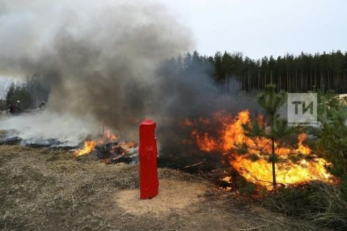 ОНДиПР Менделеевска напоминает о правилах пожарной безопасности