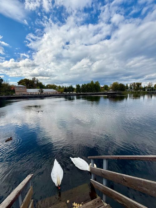 Тёплый солнечный день ожидается в Менделеевске 22 сентября