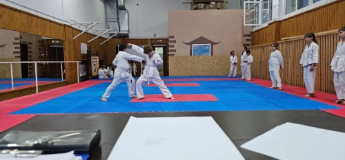 Спортсменов приглашают на Первенство и Чемпионат Республики Татарстан по кобудо в Менделеевск