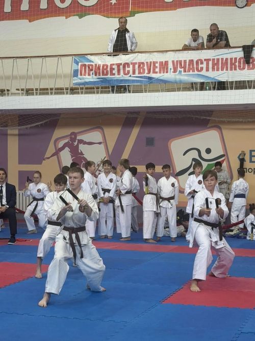 Более 230 спортсменов приняли участие в турнире по кобудо в Менделеевске