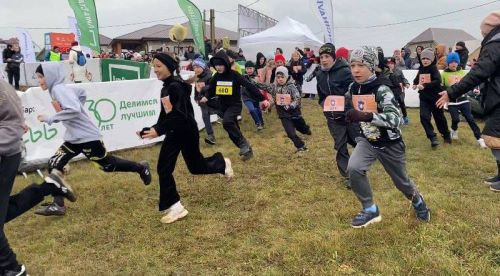 «Аммоний Менделеевский кросс»