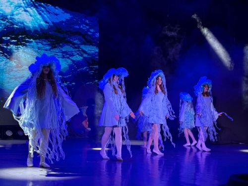 В Менделеевске проходит показ музыкального спектакля «Русалочка»