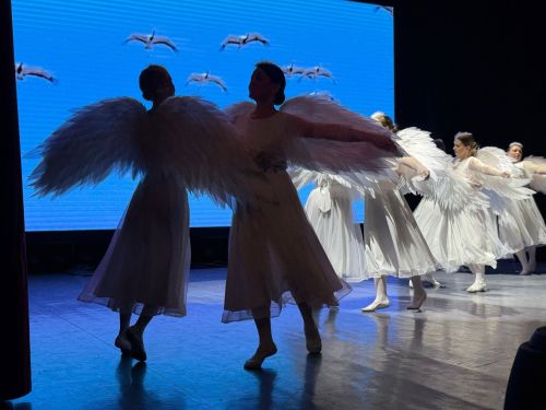 Концерт учреждений образования