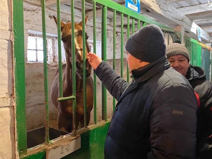 «Конно-спортивный комплекс Фаворит» готовят к капитальному ремонту
