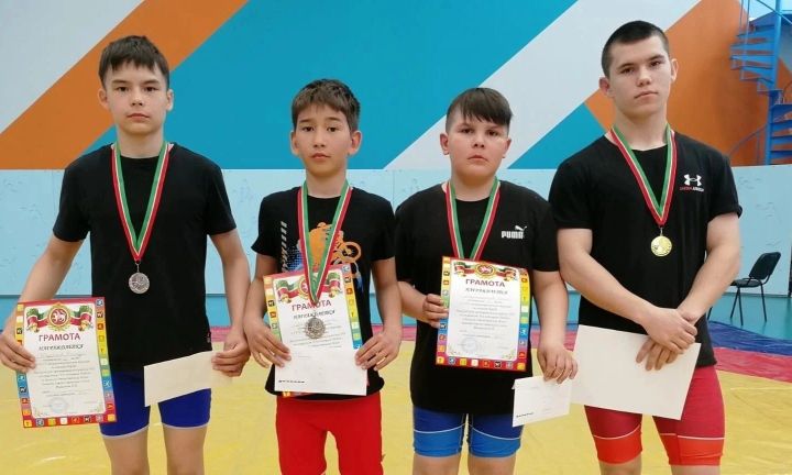 Юные борцы пополнили копилку наград Менделеевского района