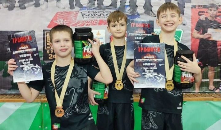 Спортсмены «Сатори» Менделеевска взяли «золото» в открытом турнире по смешанному боевому единоборству (ММА)