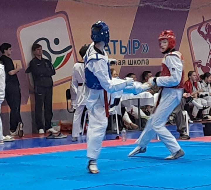 Юные спортсмены встретились в Менделеевске на чемпионате Татарстана по тхэквондо