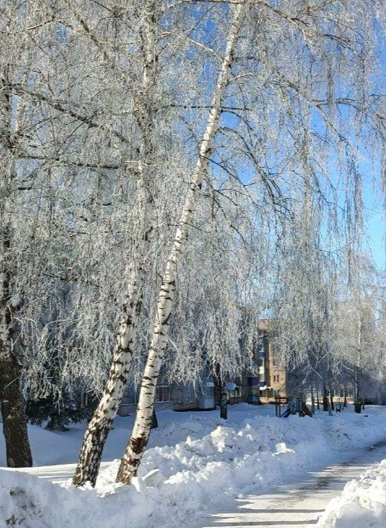 Метель и снежные заносы ожидаются 20 февраля в Менделеевске