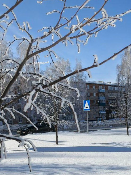 21 февраля в Менделеевске ожидаются метель и порывистый ветер