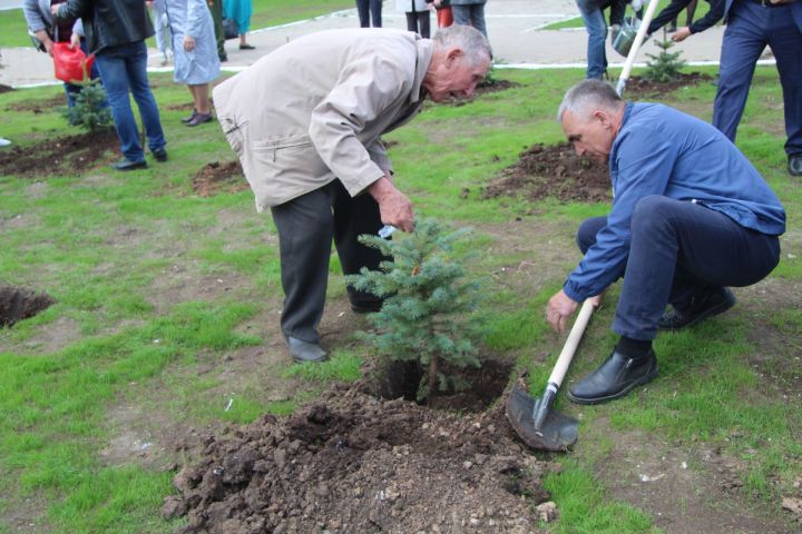В Менделеевске посадили голубые ели у мемориала чернобыльцам