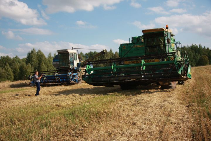В Менделеевском районе по урожайности лидирует хозяйство «Камай – Агро»