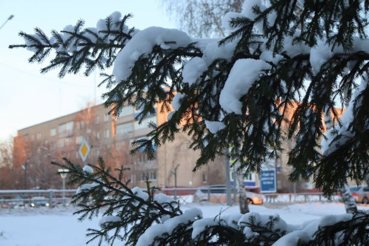 Днем в Татарстане ожидается до 11 градусов мороза