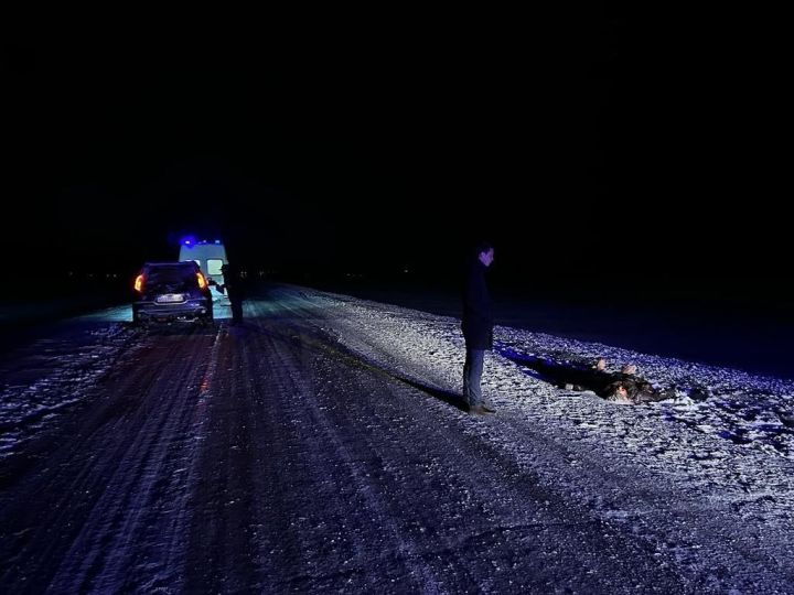 В Менделеевском районе в ДТП погибла женщина