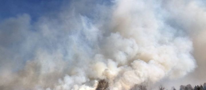 В Татарстане посещение лесов ограничено на три недели из-за высокой пожарной опасности