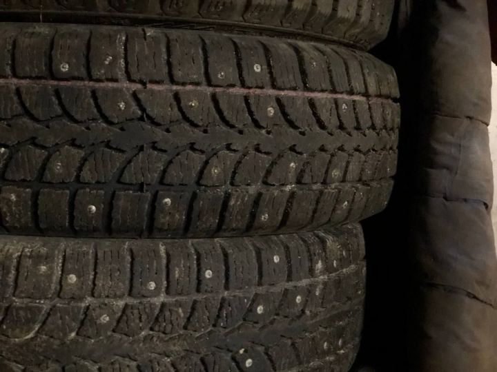 В Зеленодольске автомобилист насмерть переехал спящую собаку