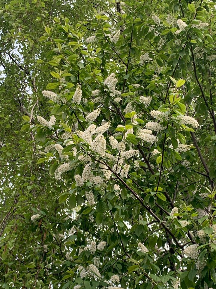 Жаркий май в Менделеевске