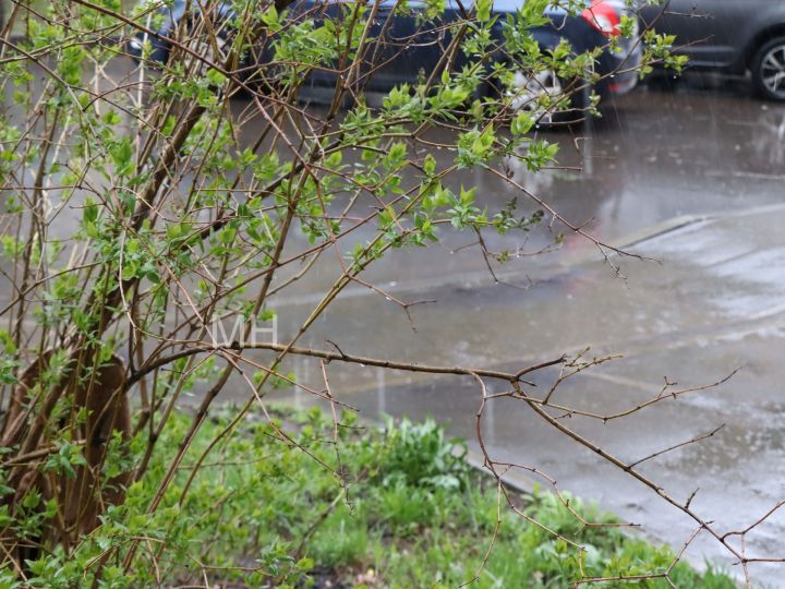 В Татарстане прогнозируют грозу и ветер до 17 м/с