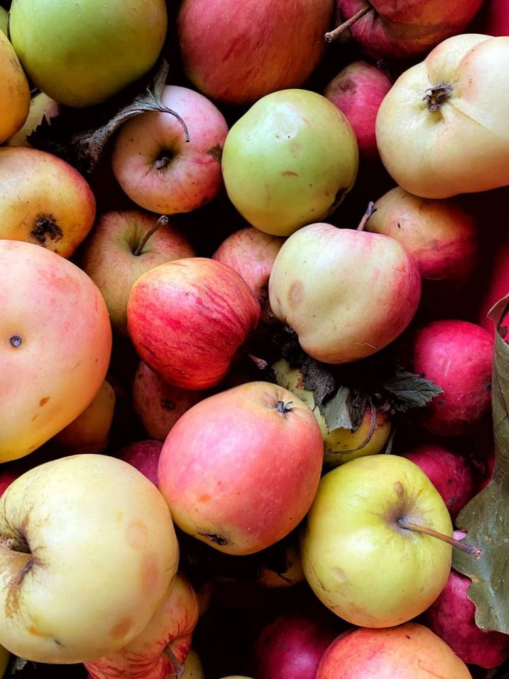Стало известно, какие продукты в Татарстане подорожали за неделю