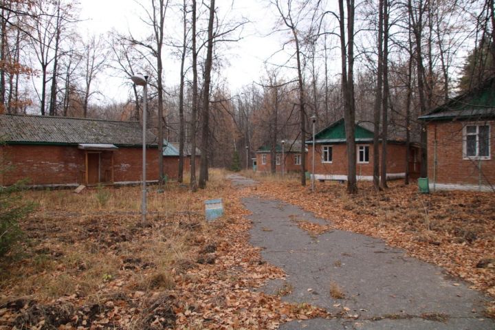 Менделеевцы могут получить путевку в оздоровительный лагерь