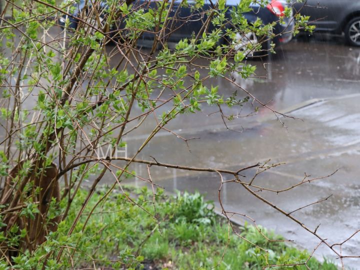 Сегодня в Татарстане ожидается небольшой дождь