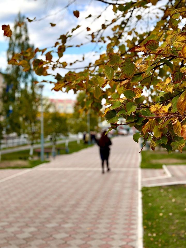 «Книги меняют города»: В Менделеевске пройдут дискуссии