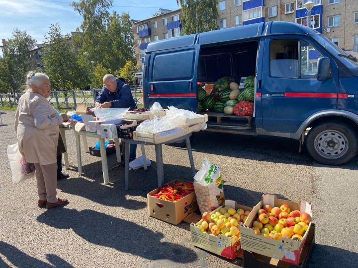 В Менделеевске сельхозярмарку посвятят к Дню мудрых людей