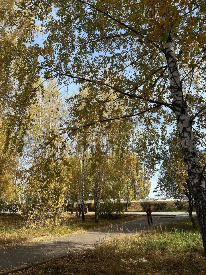 В Менделеевске днём ожидается +21 градус, но ночью минусовая температура
