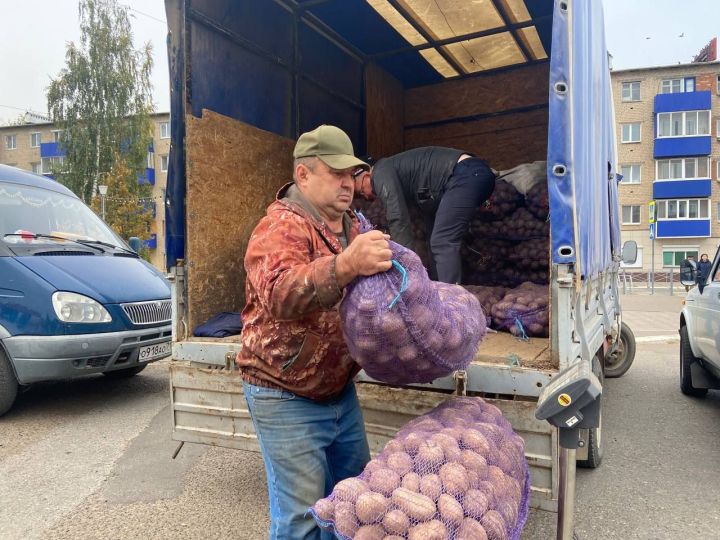 На площади РДК «Юность» проходит очередная сельхозярмарка