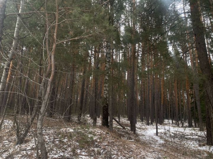 8 декабря верующие вспоминают святого Климента