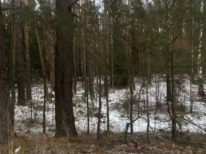 В Менделеевске похолодает до -7 градусов