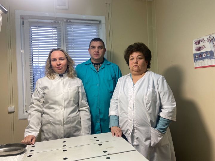 Ветеринары Менделеевска с заботой о братьях меньших