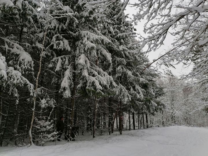 В Татарстане ожидаются морозы до -37 градусов