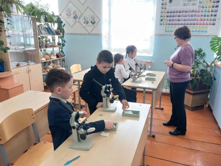 В Бизякинской школе отметили День российской науки