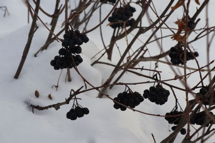 11 февраля – Лаврентьев день: что можно и что нельзя