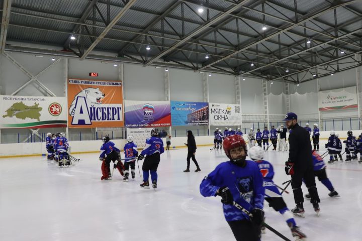 Менделеевские хоккеисты приняли участие в мастер-классе
