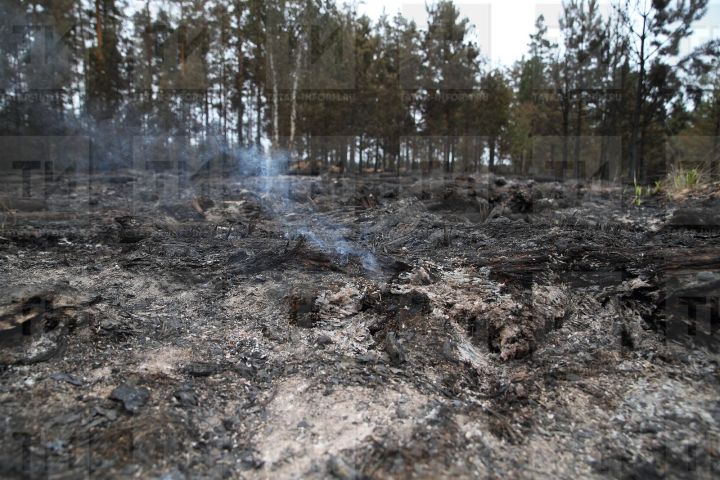 Известна дата начала пожароопасного сезона в Татарстане