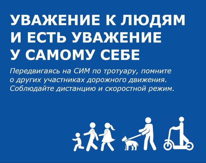 Участники дорожного движения должны соблюдать ПДД, чтобы обеспечить безопасность