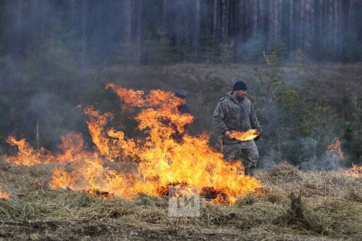 Из-за высокой пожароопасности лесов в РТ объявлено штормовое предупреждение