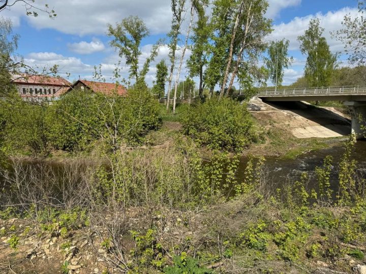 В Менделеевске появится пешеходный мост через Тойму