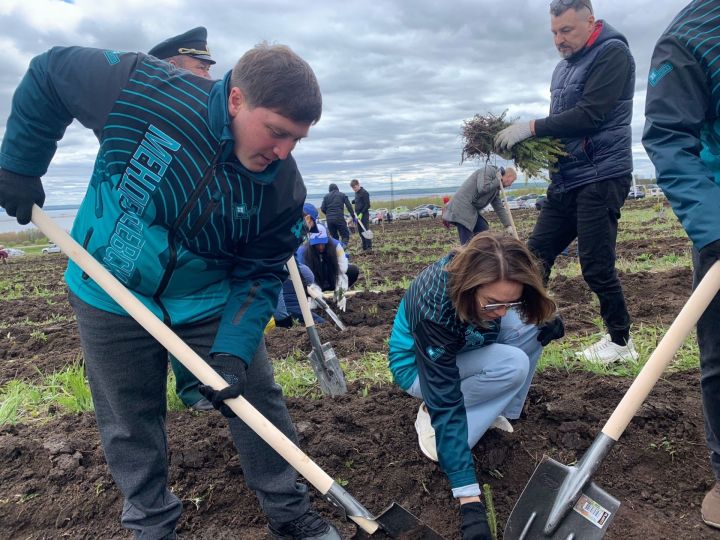 В Менделеевском районе проходит масштабная экологическая акция «Урман-Фест»