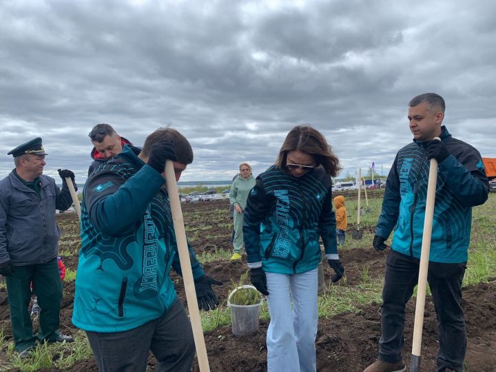 В Менделеевском районе проходит масштабная экологическая акция «Урман-Фест»